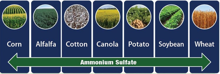 Ammonium sulfate-1